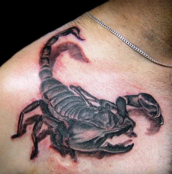 40 3D Scorpion Tattoo Designs For Men  Stinger Ink Ideas