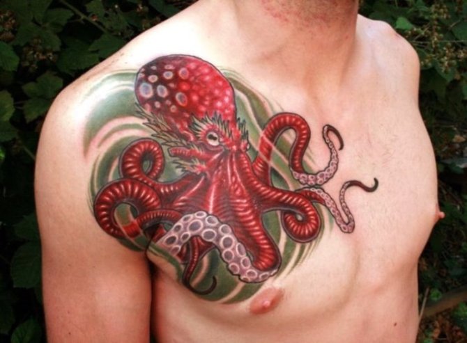 Alfredo Tattoo - 30 Octopus Tattoos <3 <3