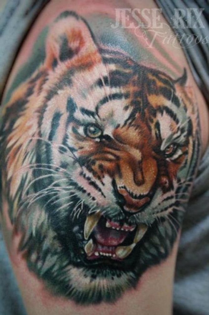 Realistic Tiger Tattoo - 40 Tiger Tattoos <3 <3