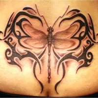 20 Dragonfly  Tattoos