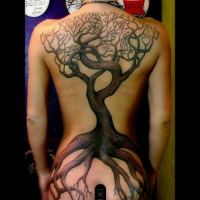 30 Family Tree Tattoos